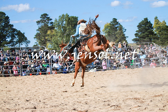 BraidwoodRodeo2016_3802
