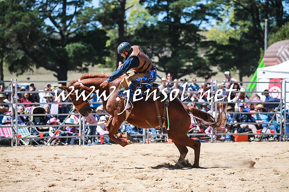 BraidwoodRodeo2016_2870