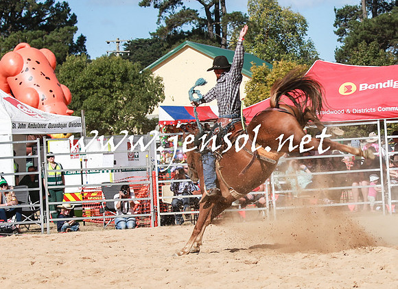 BraidwoodRodeo2016_3918