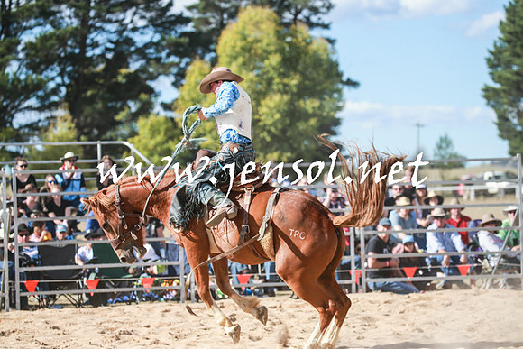 BraidwoodRodeo2016_3823