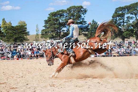 BraidwoodRodeo2016_3773