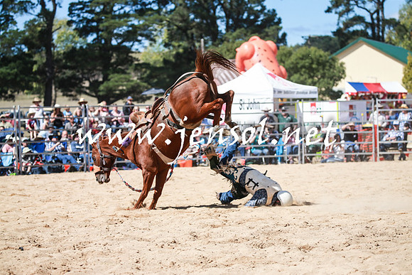 BraidwoodRodeo2016_3202