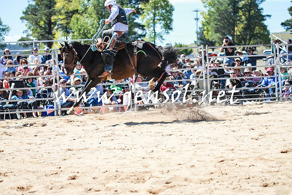 BraidwoodRodeo2016_2834