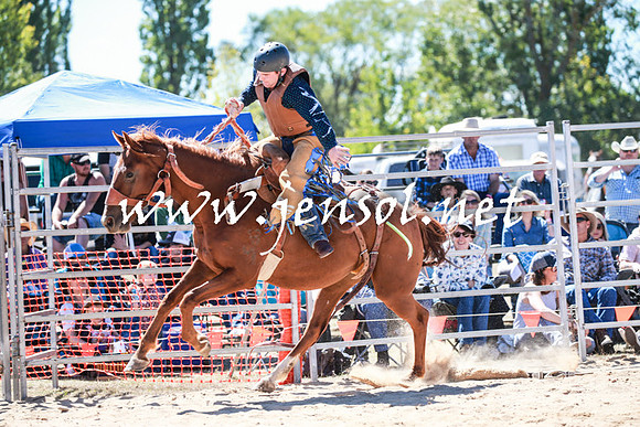 BraidwoodRodeo2016_2883