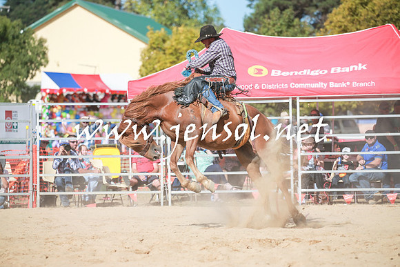 BraidwoodRodeo2016_3937