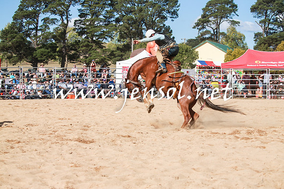 BraidwoodRodeo2016_3849