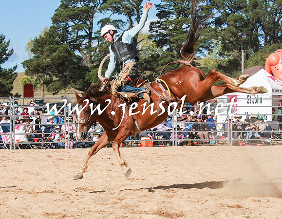 BraidwoodRodeo2016_3848
