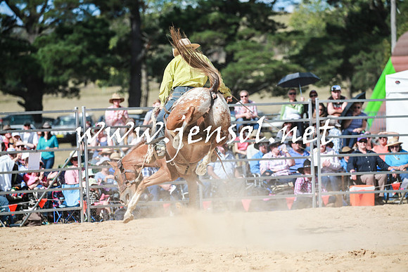 BraidwoodRodeo2016_3423