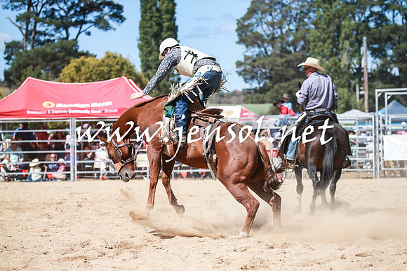 BraidwoodRodeo2016_3198