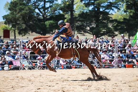 BraidwoodRodeo2016_2859