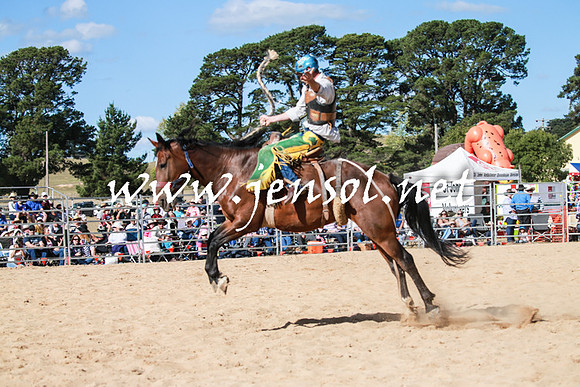 BraidwoodRodeo2016_3723