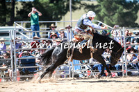 BraidwoodRodeo2016_2808
