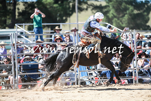 BraidwoodRodeo2016_2808