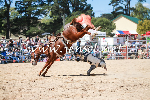 BraidwoodRodeo2016_3205