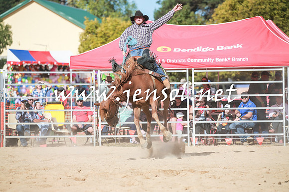 BraidwoodRodeo2016_3942