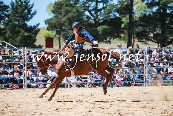 BraidwoodRodeo2016_2860