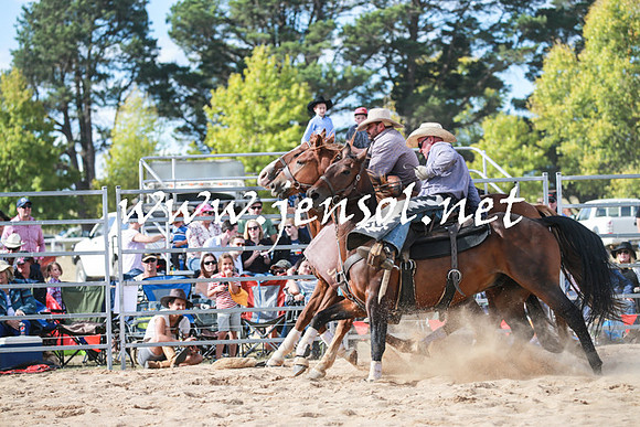 BraidwoodRodeo2016_3977
