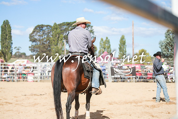 BraidwoodRodeo2016_3839