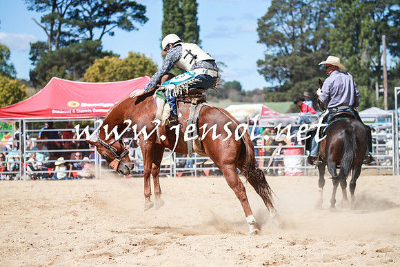 BraidwoodRodeo2016_3193