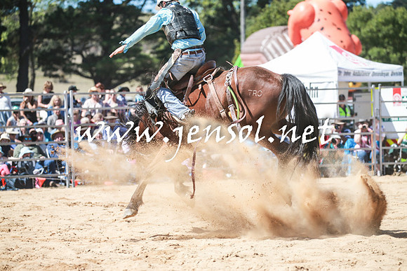BraidwoodRodeo2016_2905
