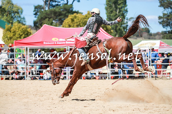 BraidwoodRodeo2016_3216