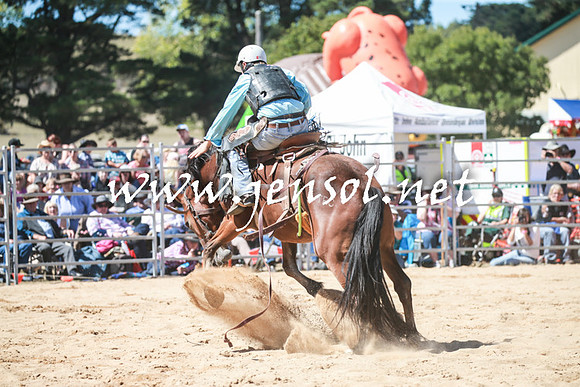BraidwoodRodeo2016_2906