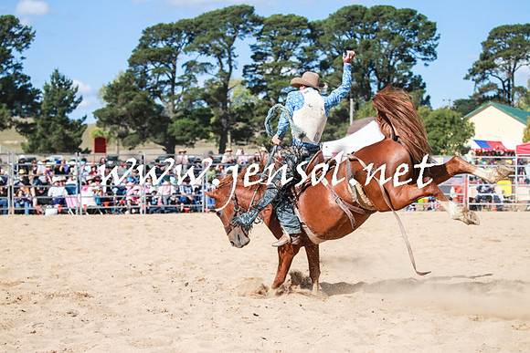 BraidwoodRodeo2016_3765