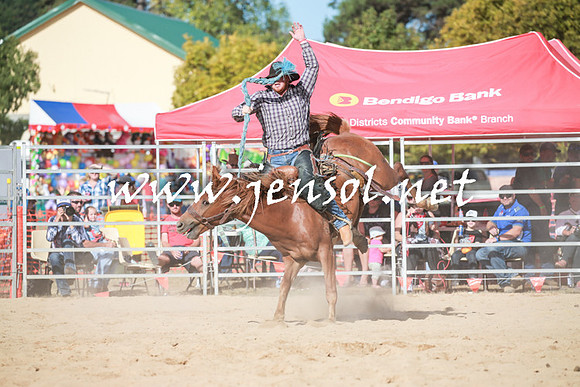 BraidwoodRodeo2016_3947