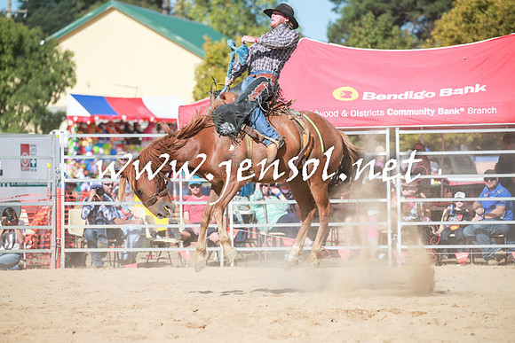 BraidwoodRodeo2016_3939