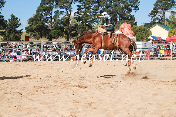 BraidwoodRodeo2016_3845
