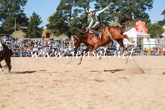 BraidwoodRodeo2016_3847