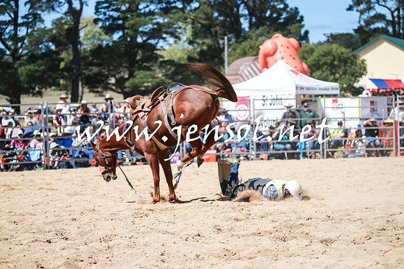 BraidwoodRodeo2016_3203