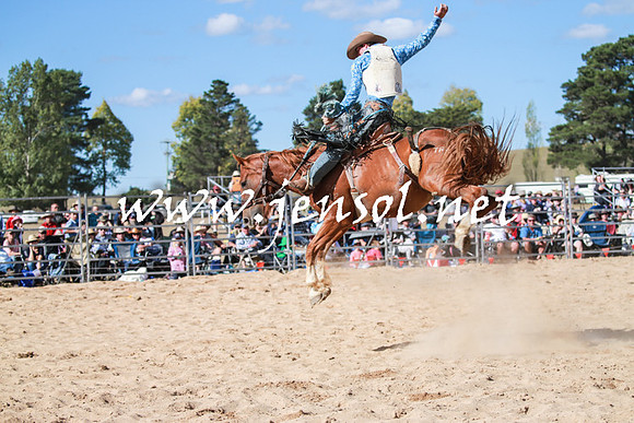BraidwoodRodeo2016_3789