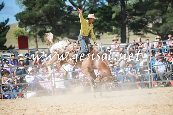 BraidwoodRodeo2016_3438
