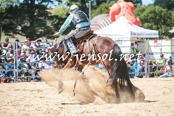 BraidwoodRodeo2016_2907