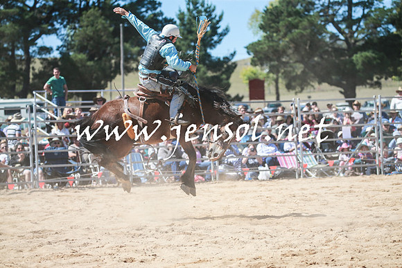 BraidwoodRodeo2016_2928