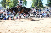 BraidwoodRodeo2016_2832