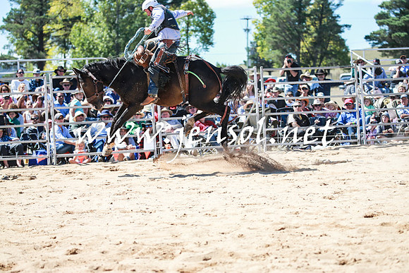BraidwoodRodeo2016_2832