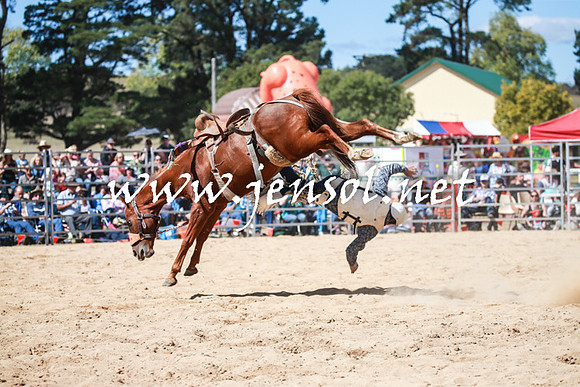 BraidwoodRodeo2016_3201