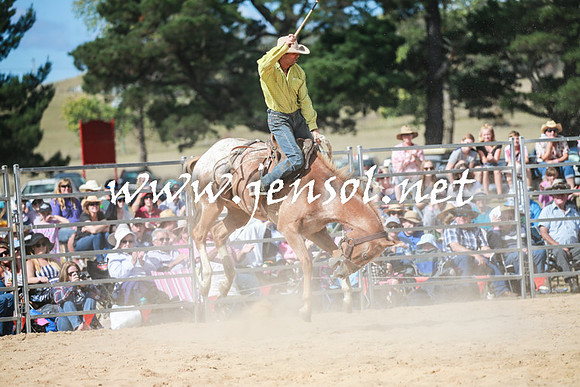 BraidwoodRodeo2016_3439