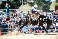 BraidwoodRodeo2016_2806