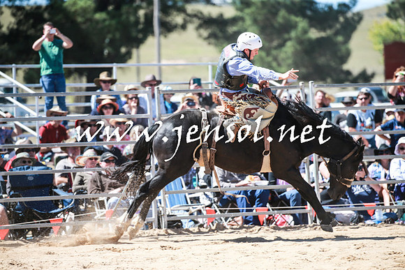 BraidwoodRodeo2016_2806