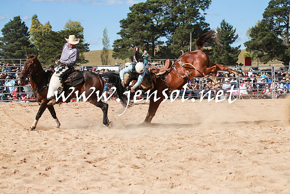 BraidwoodRodeo2016_3861