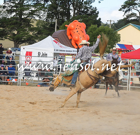 BraidwoodRodeo2016_0095