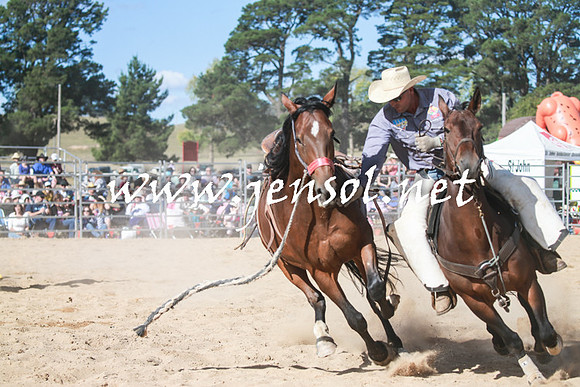 BraidwoodRodeo2016_3761