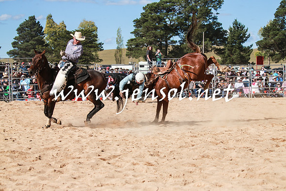 BraidwoodRodeo2016_3859