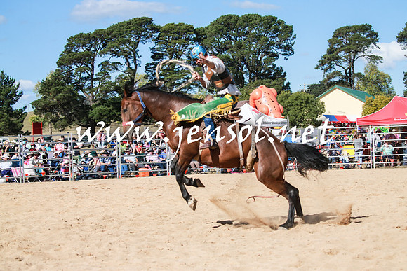 BraidwoodRodeo2016_3728