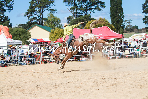BraidwoodRodeo2016_3407