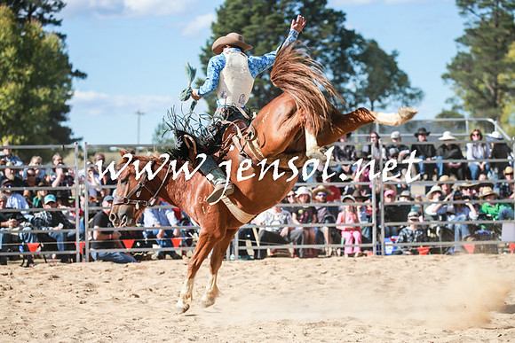 BraidwoodRodeo2016_3797
