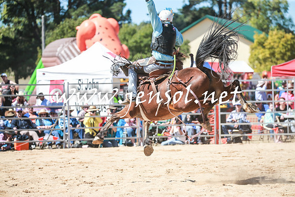 BraidwoodRodeo2016_2891